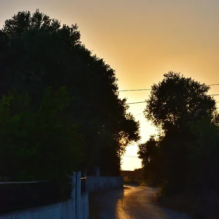 Cozy With Garden And Olive Grove Of 5 Acr Tatil Evi Mavrata